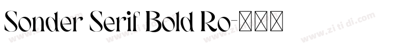 Sonder Serif Bold Ro字体转换